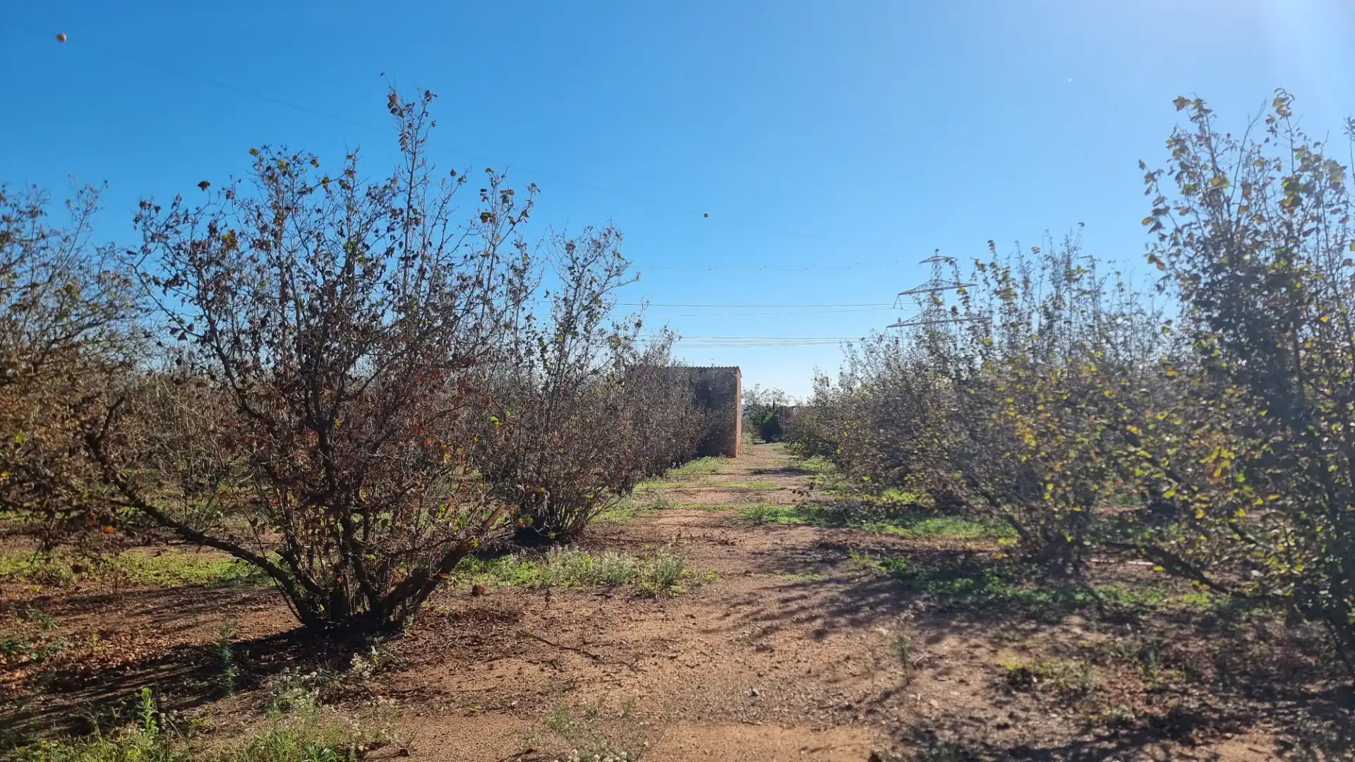 Terreno en venta en Vilallonga del Camp