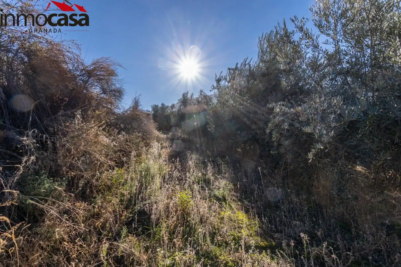 Finca rústica en venda a Polígono PARAJE DE LA HOYA, Güéjar Sierra