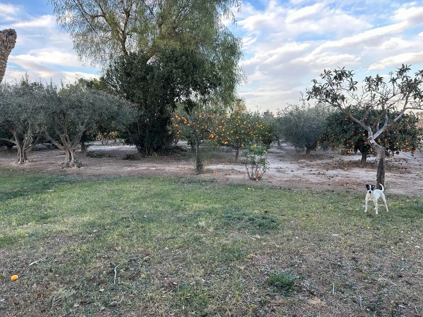 Xalet amb jardí en venda a Pedanías Centro, imagen 41
