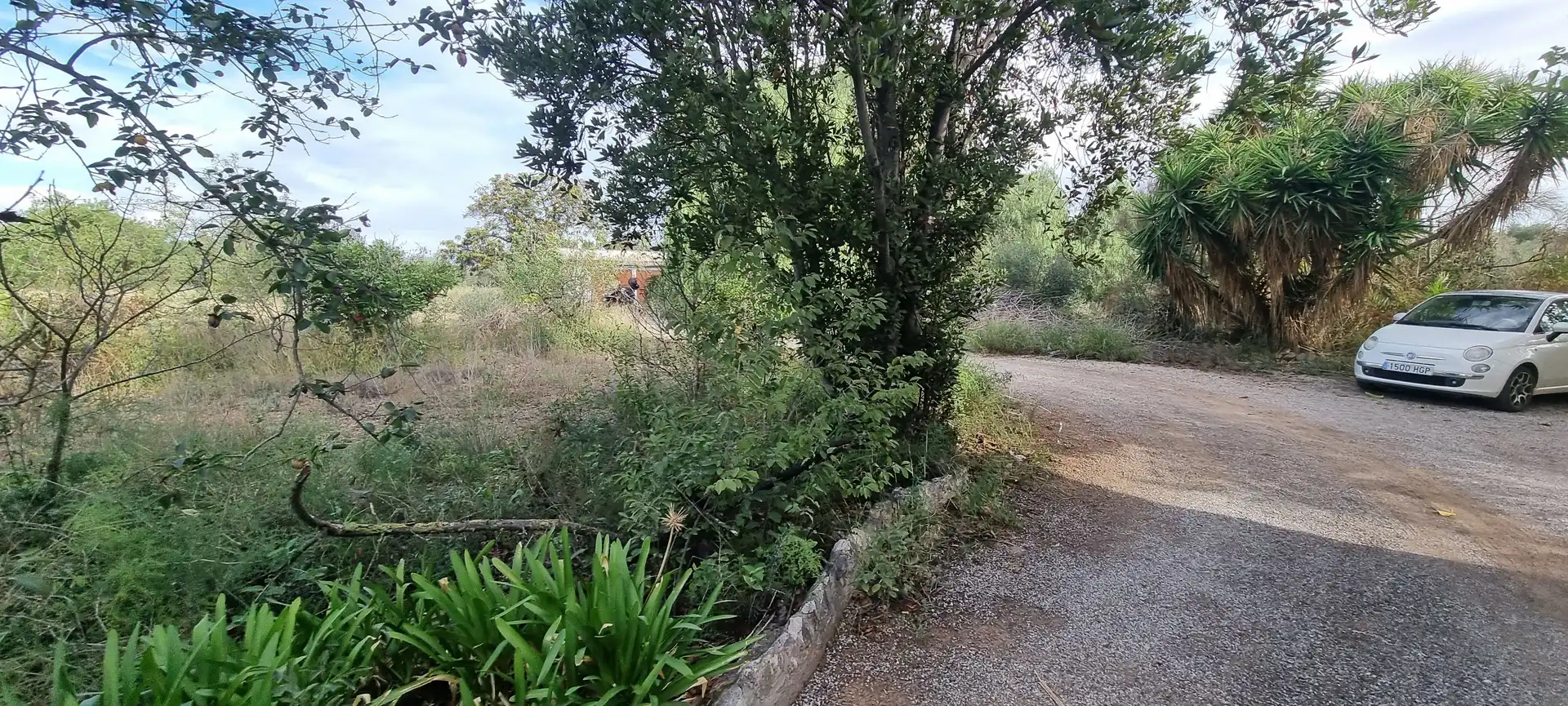 Finca rústica en venta en Vial Camino, Riudoms