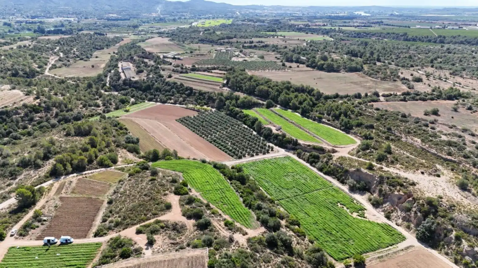 Terreno rustico in vendita a Benifallet - carretera C12, imagen 9