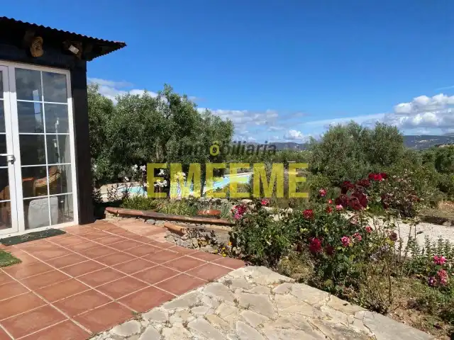 Jardín de Finca rústica en venta en Centro