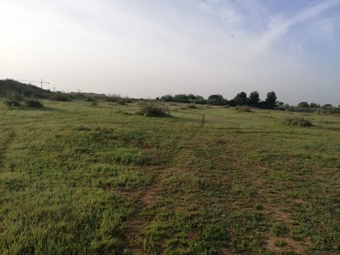 Terreni e lotti in vendita a SC AUSU-27 - FINCA PERALTA, imagen 2
