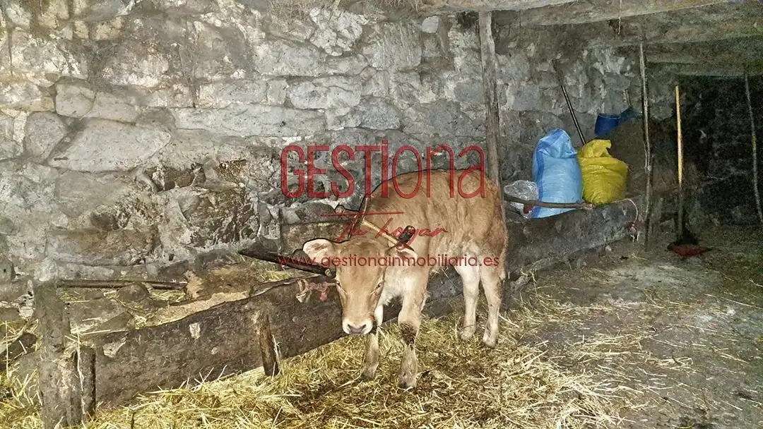 Maison avec jardin à vendre à Soba, imagen 11