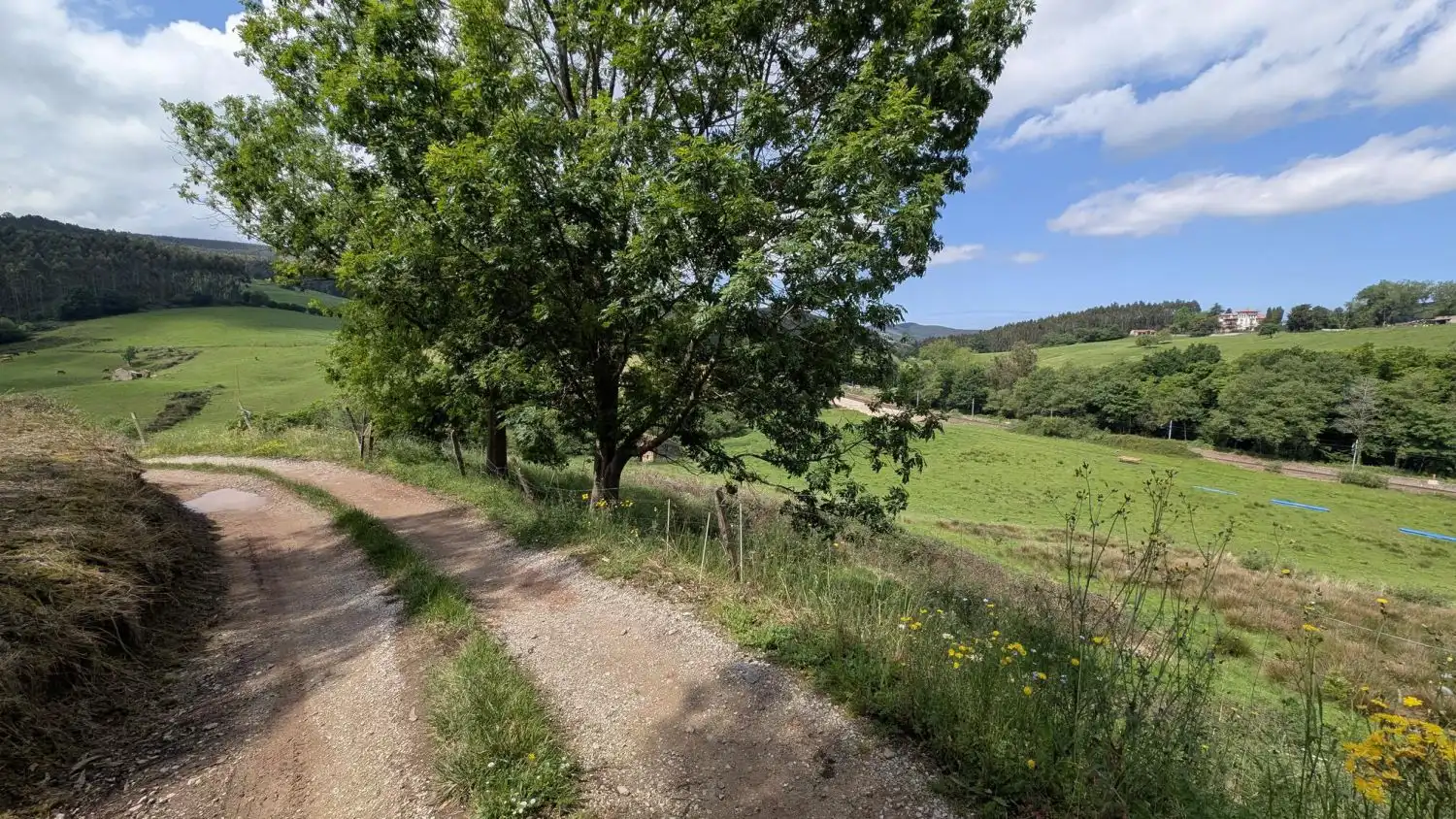 Country homes for sale in Piélagos