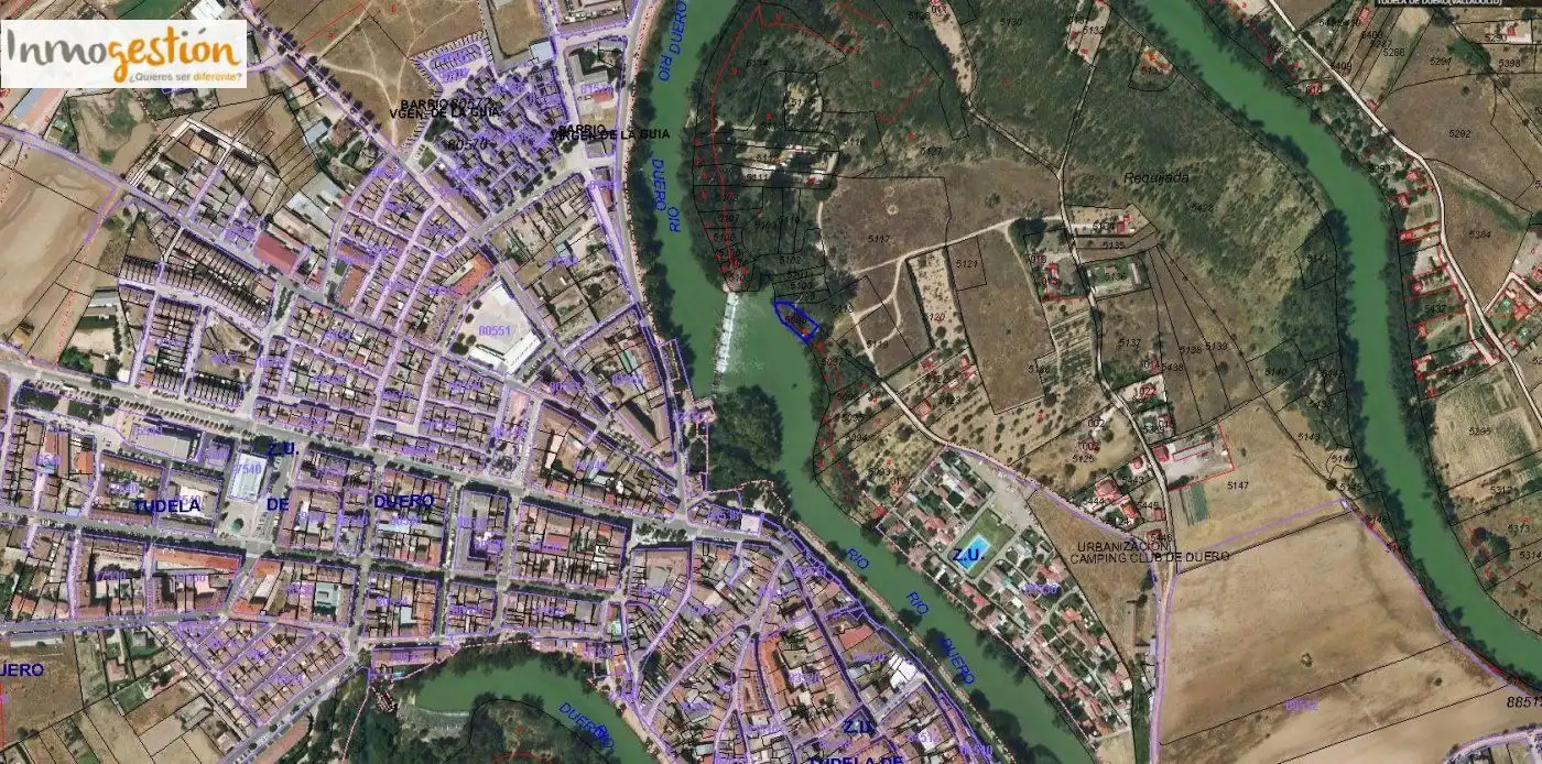 Terreno rustico in vendita a Tudela de Duero, imagen 8