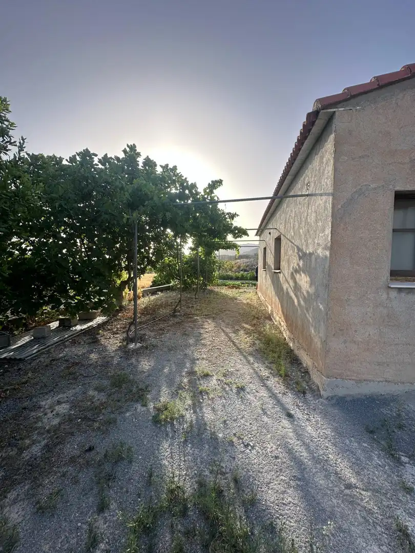 Finca rústica en venta en Somontín