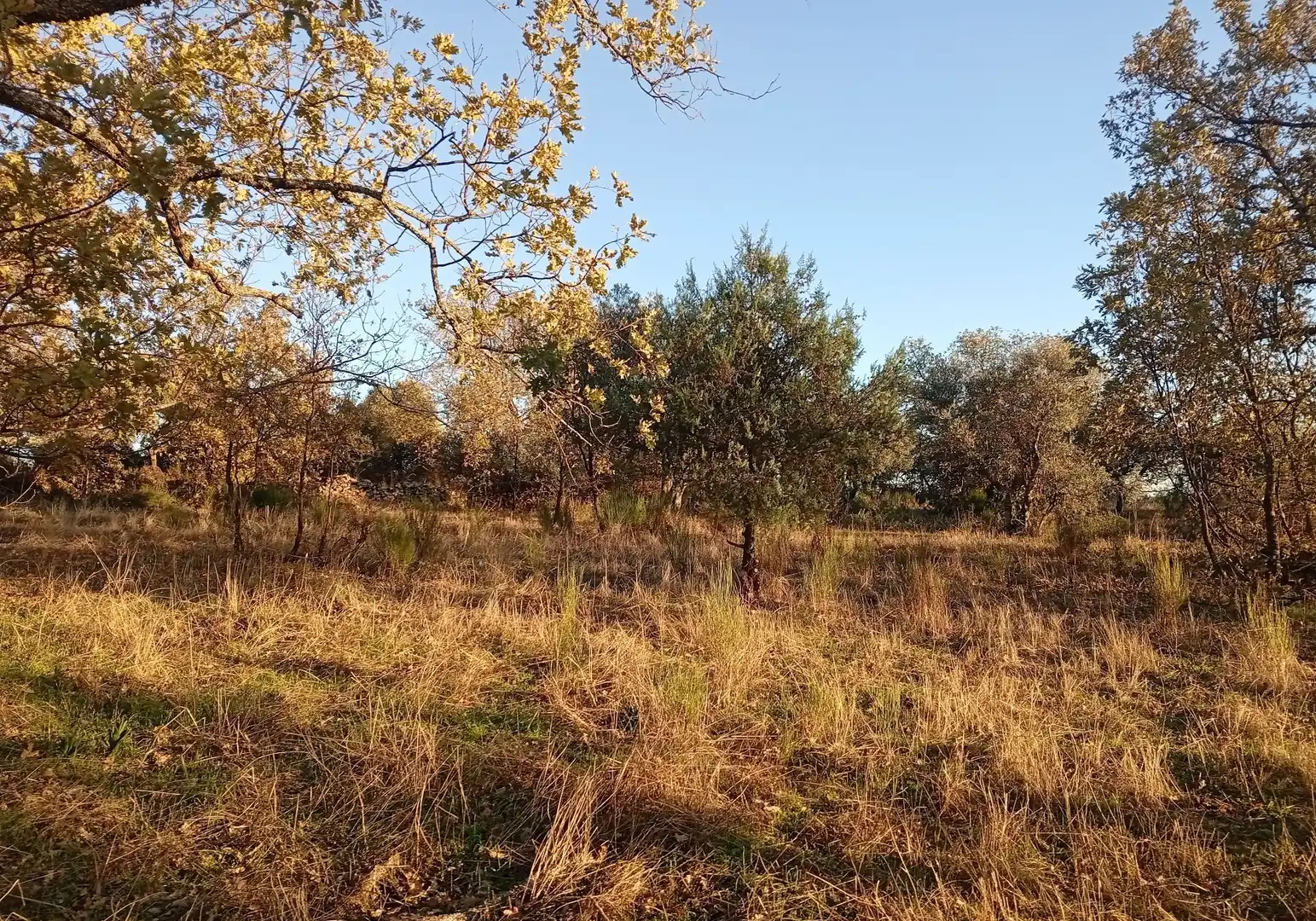 Terreni e lotti in vendita a Viandar de la Vera, imagen 7