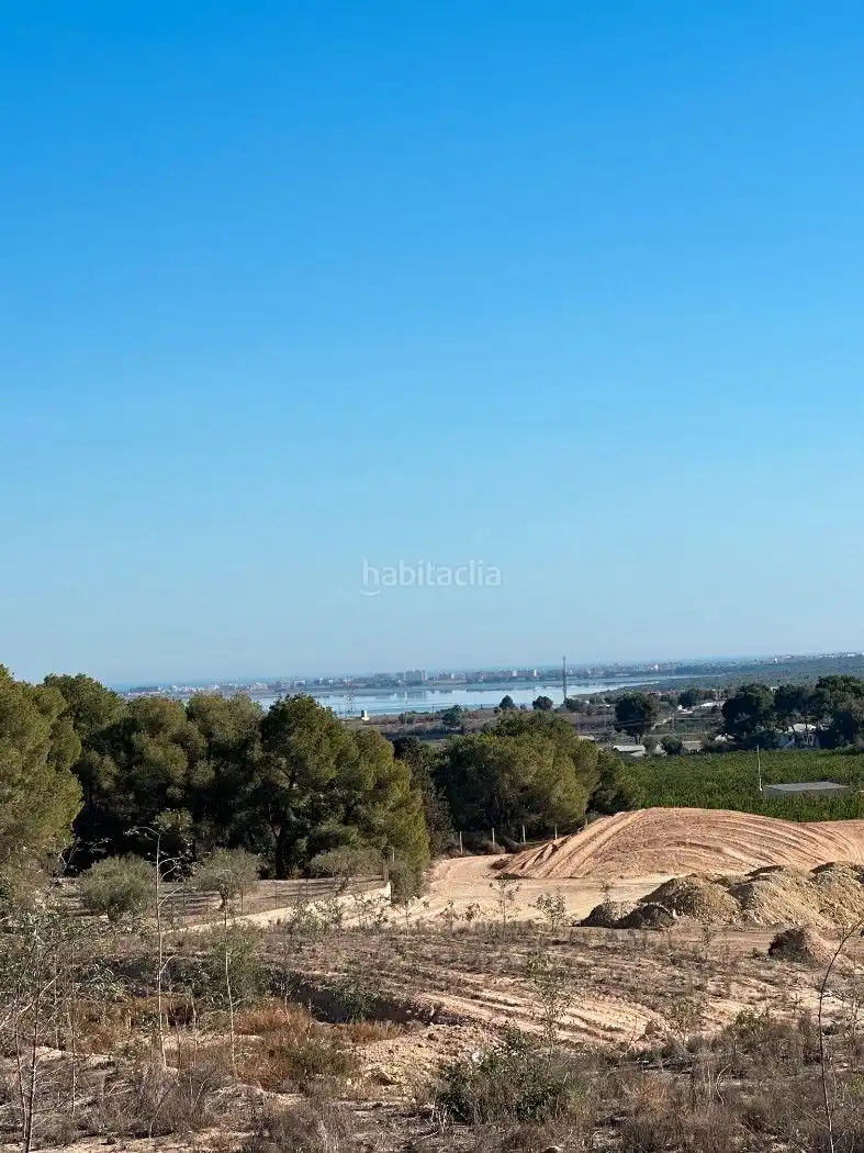 Terrain rustique à vendre à Camino de Catral 31, imagen 11