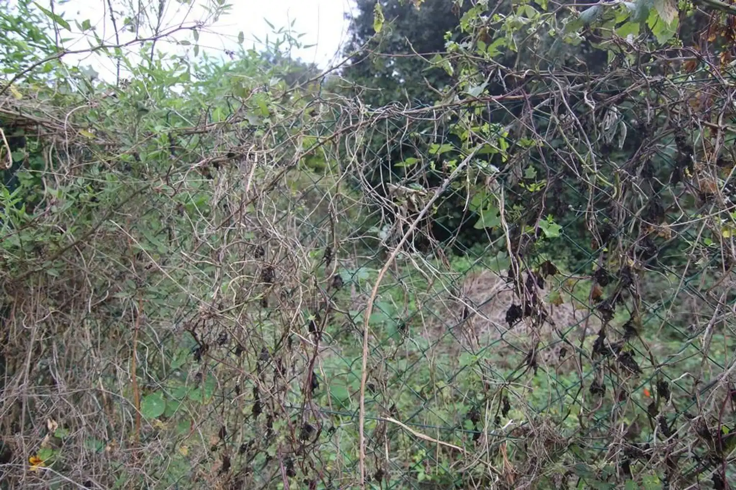 Terreno en venta en Valleseco