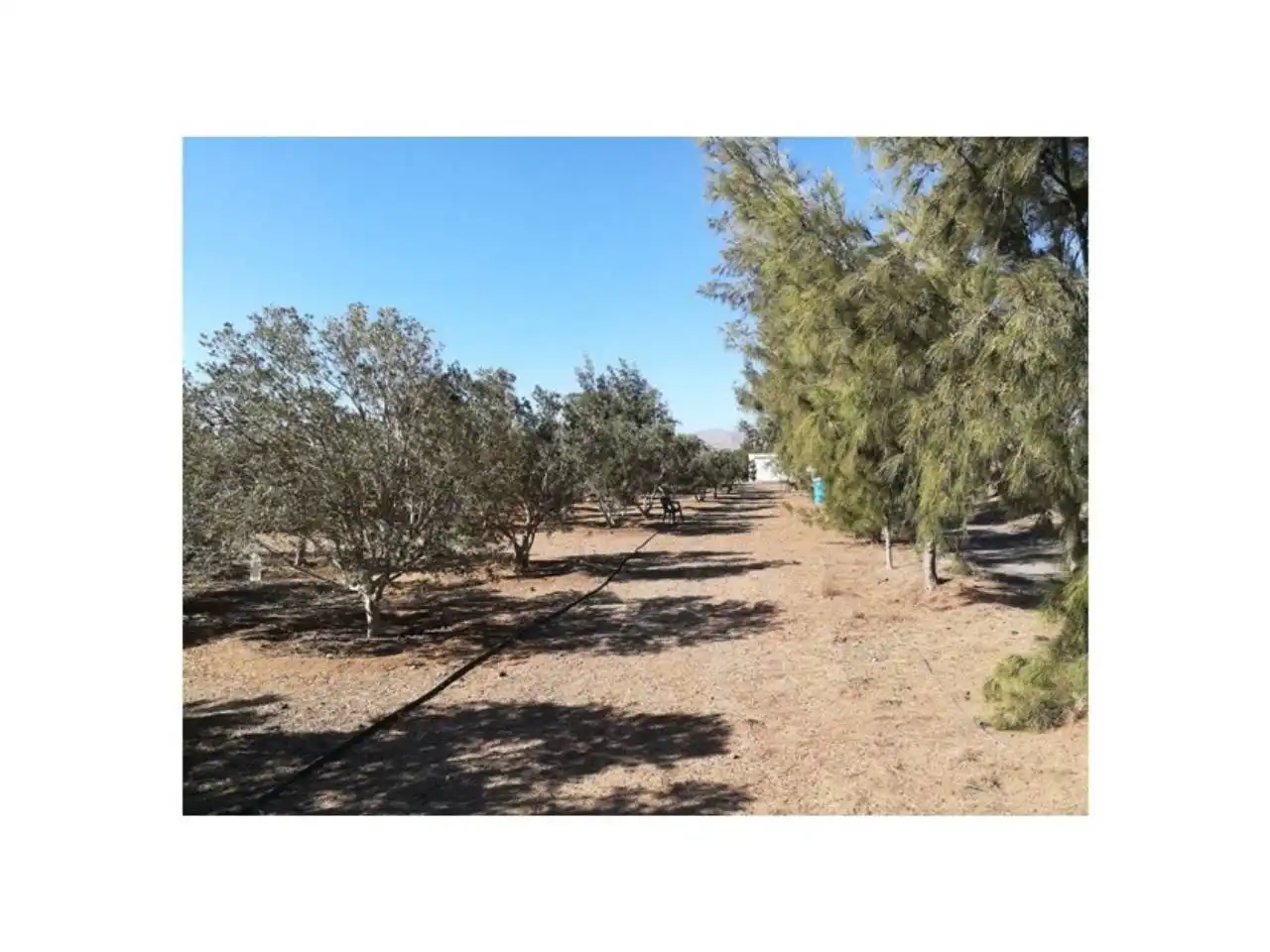 Houses for sale in Gran Tarajal, Tesejerague