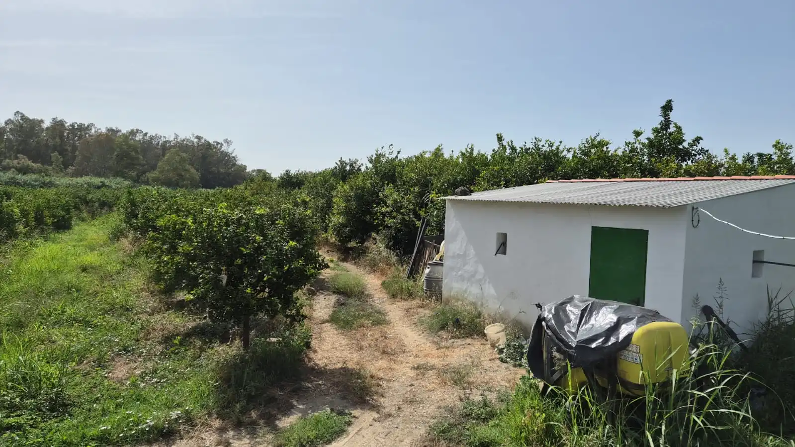 Terreny rústic en venda a A-357, imagen 4