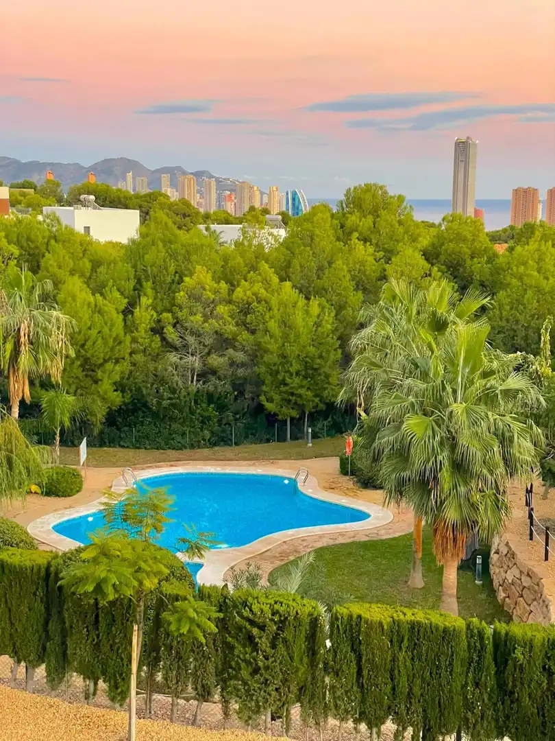 Apartament amb piscina en venda a Golf Bahía, imagen 33
