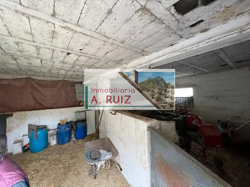 Terreny rústic en venda a Priego de Córdoba, imagen 6