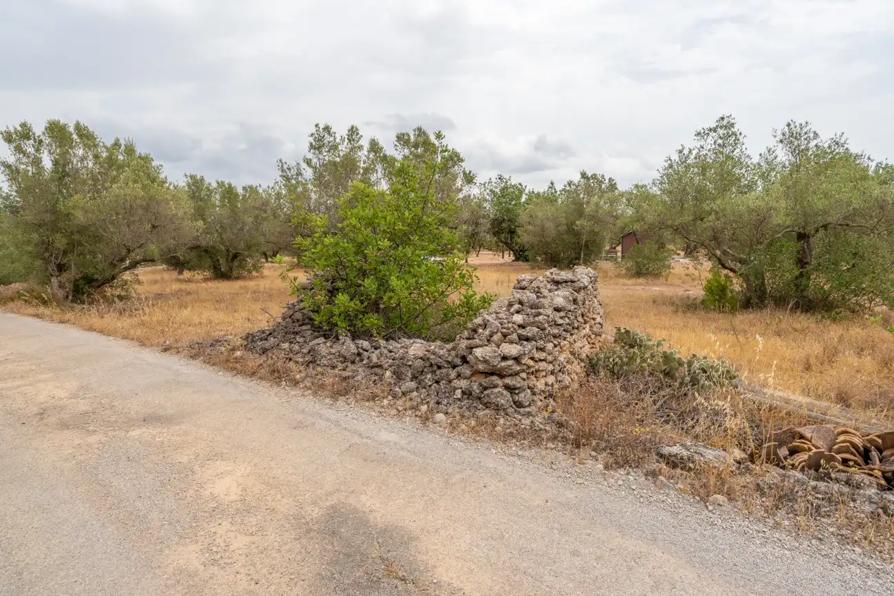 Terrain rustique à vendre à Carrer del Boix 54, imagen 2