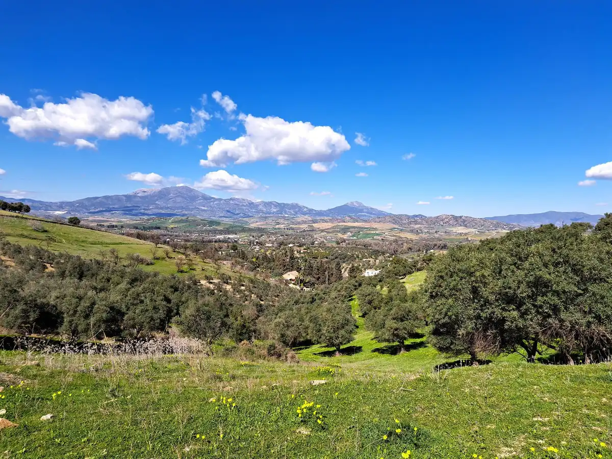 Terreni e lotti in vendita a Coín, imagen 6