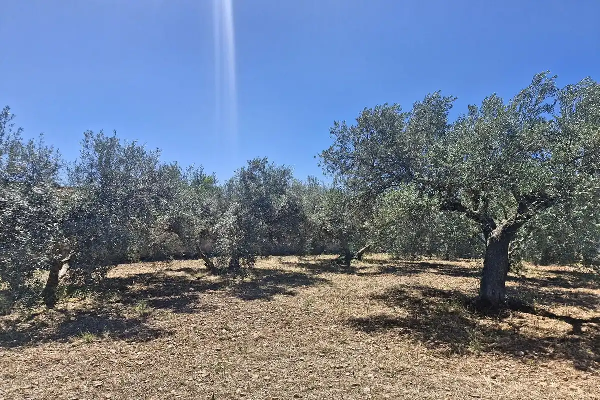 Finca rústica en venda en Málaga amb Jardí privat, Terrassa i Traster