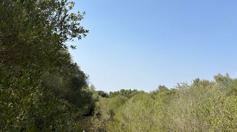 Foto 4 de Residencial en venta en Felanitx Poble, Felanitx