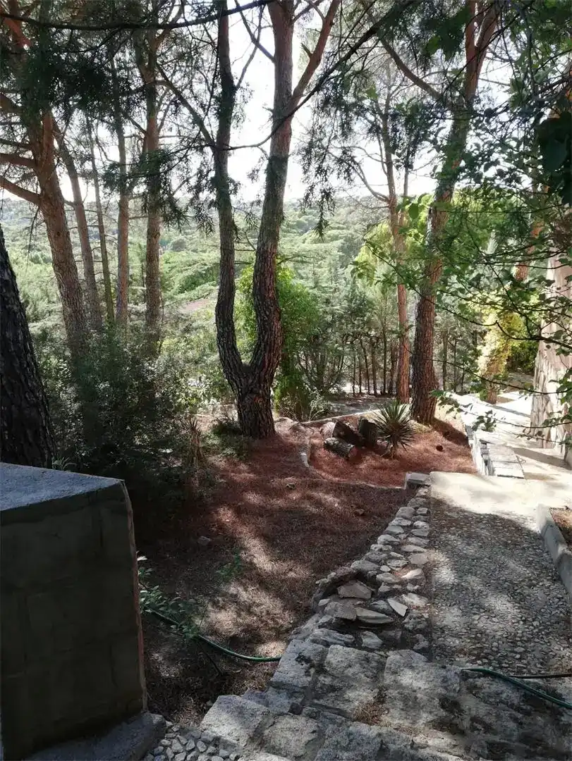 Jardí de Pis en venda en Villa del Prado amb Aire condicionat, Jardí privat i Traster