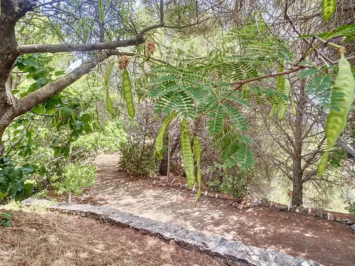 Finca rústica en venda a Camino de Benamayor, 115o, Cómpeta