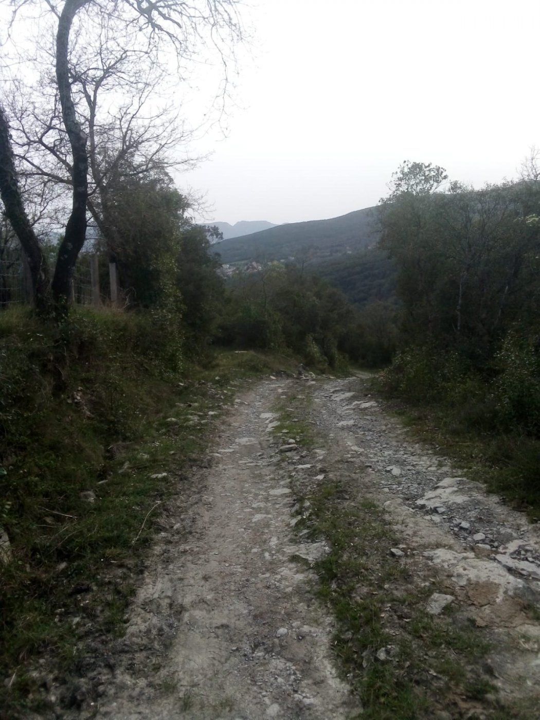 Finca rústica en venda en Valle de Mena