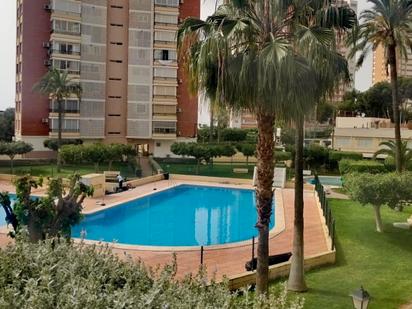 Piscina de Pis en venda en Benidorm amb Piscina comunitària