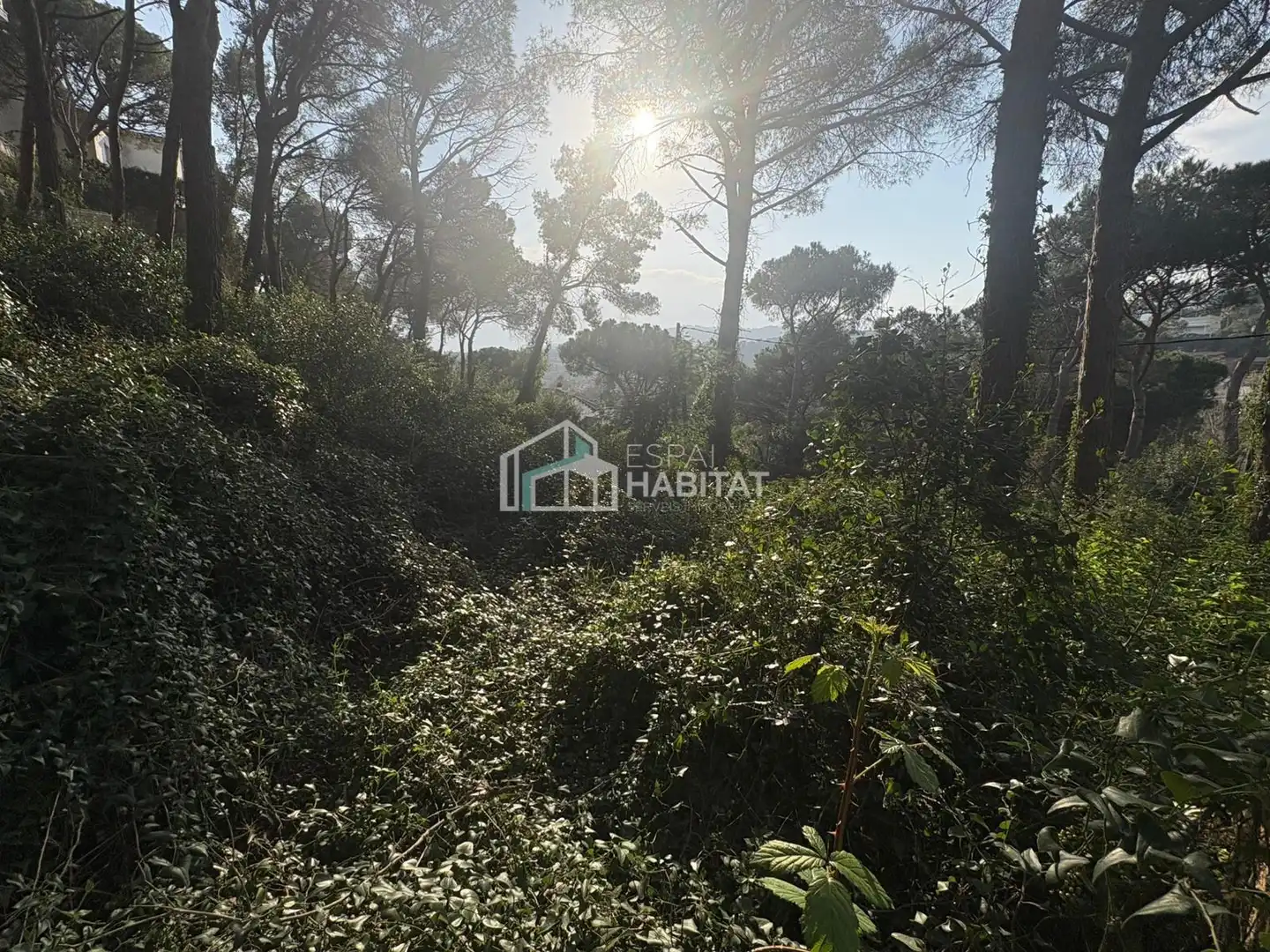 Terreny residencial en venda a Cabrils, imagen 6