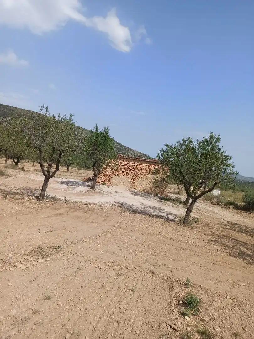 Terrain rustique à vendre à Villar del Arzobispo, imagen 4