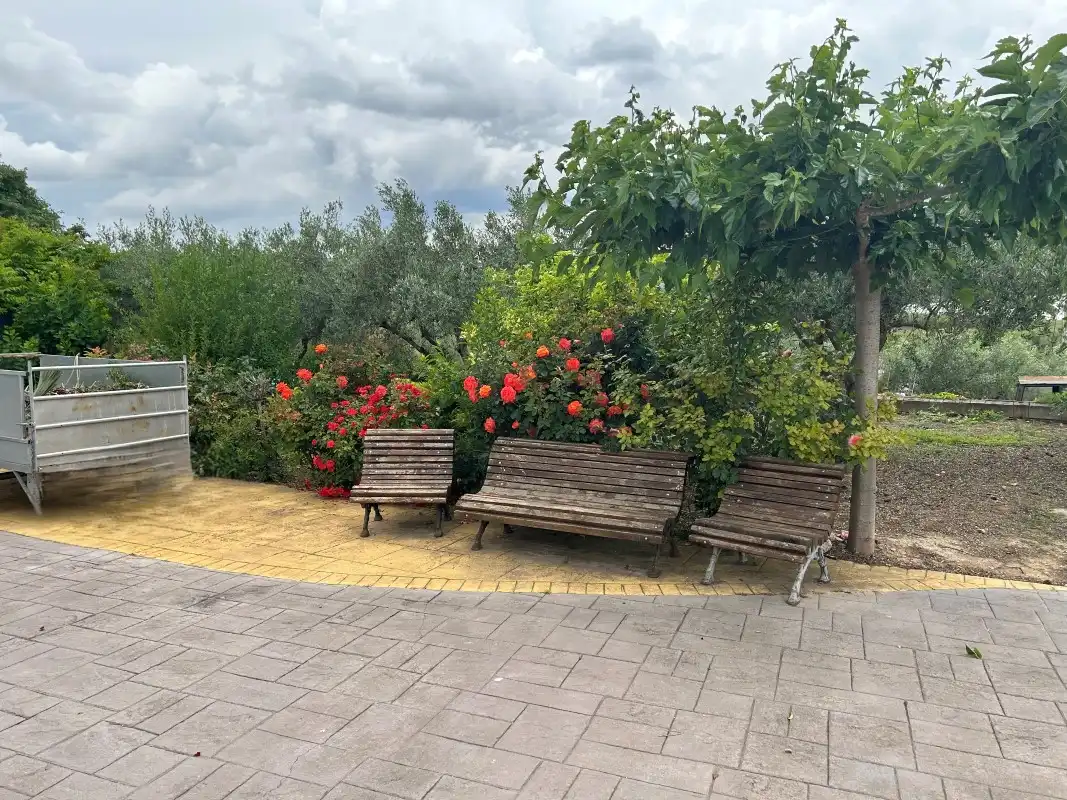 Terrassa de Casa o xalet en venda en Sempere amb Aire condicionat, Jardí privat i Terrassa