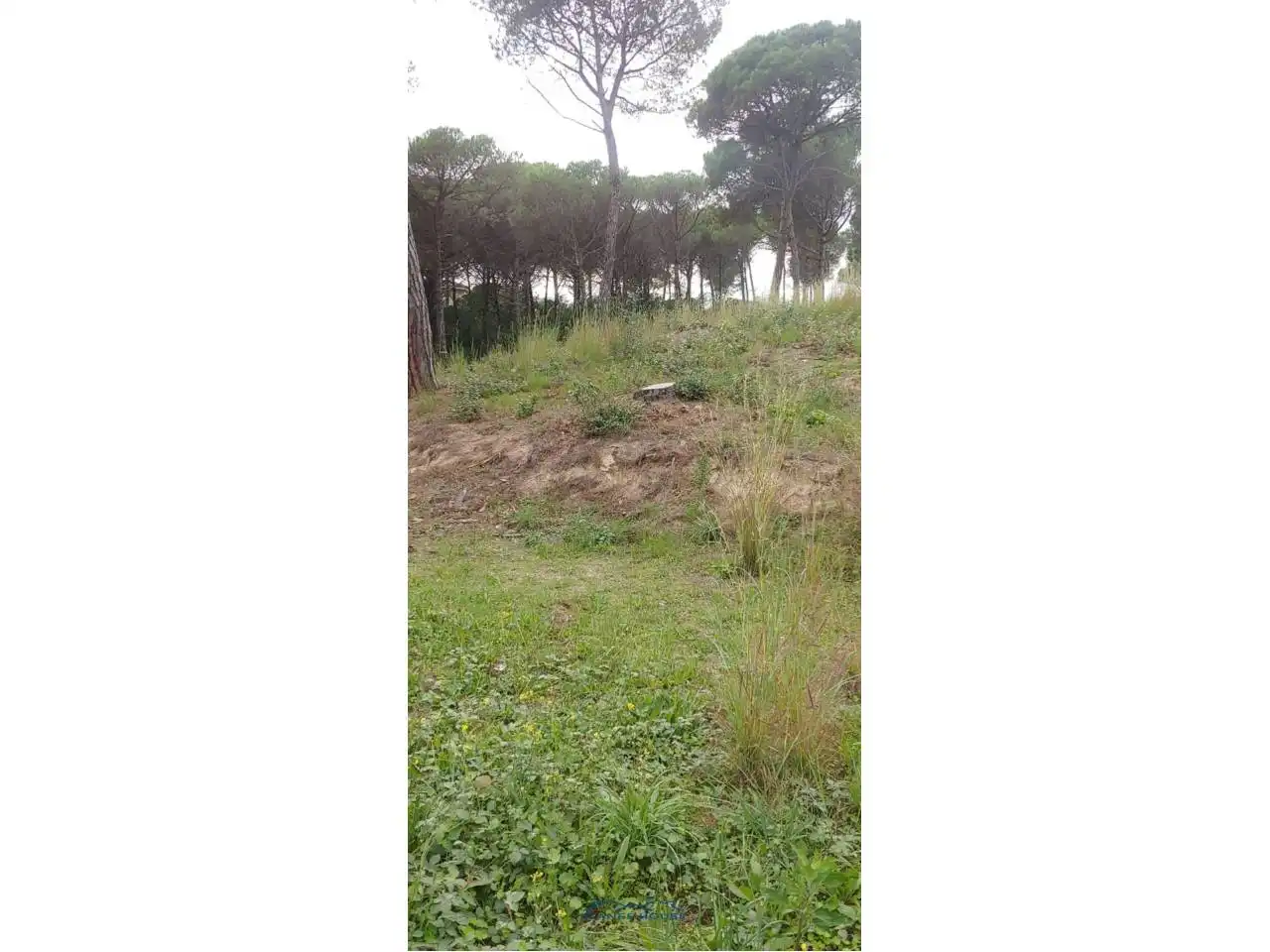 Terreno rustico in vendita a Calle San Daniel 0, imagen 6