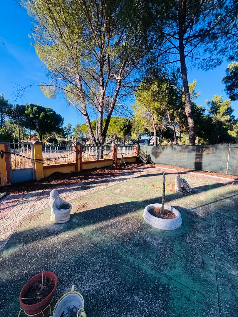 Chalet con piscina en venta en Carretera Aldeamayor, imagen 3