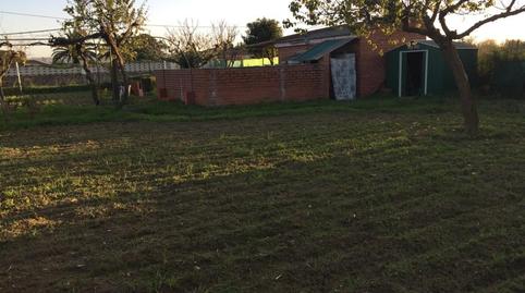 Foto 5 de Finca rústica en venda a Patrocinio - Nueva Talavera, Toledo