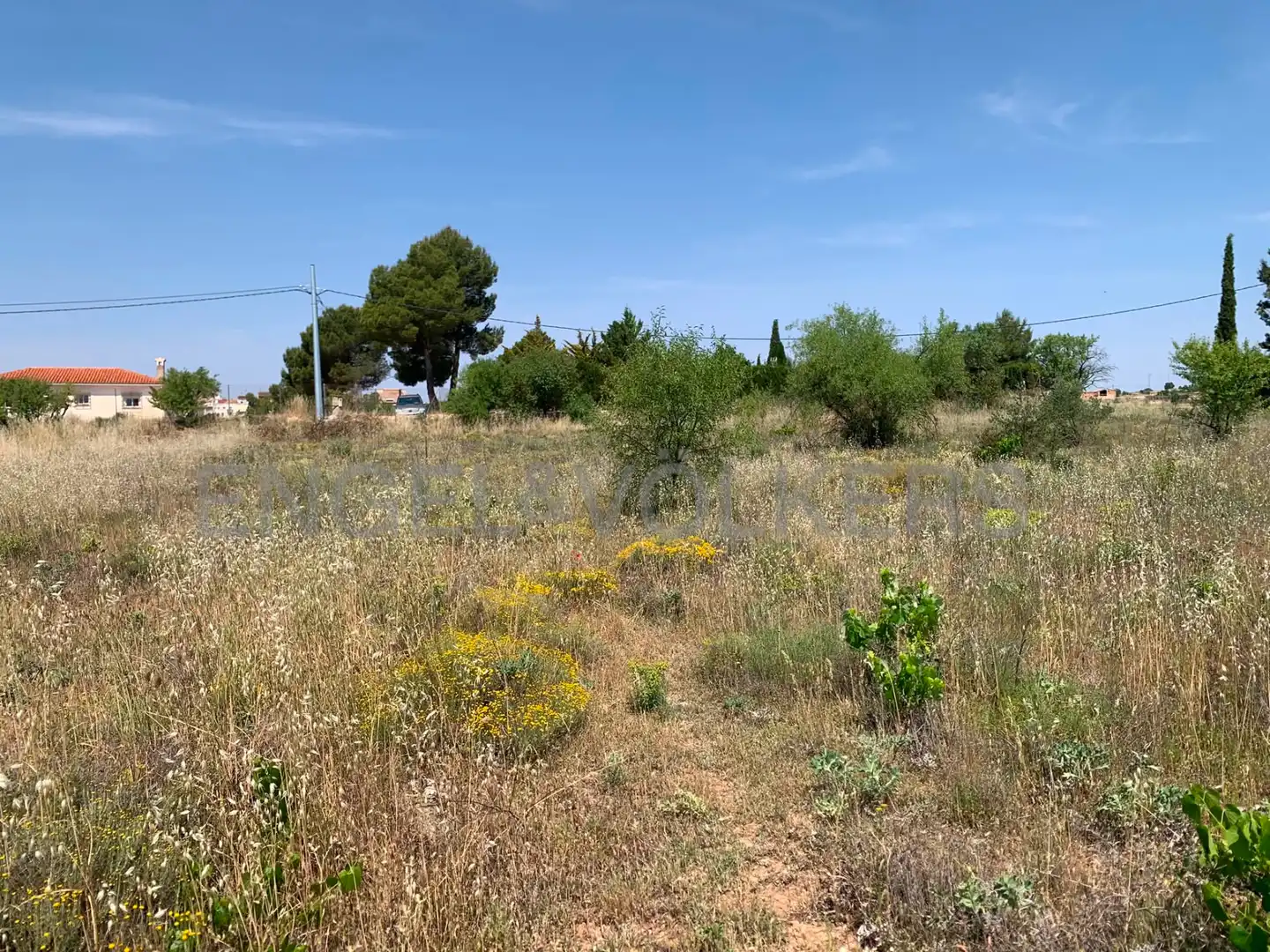 Terreny rústic en venda a Requena, imagen 23