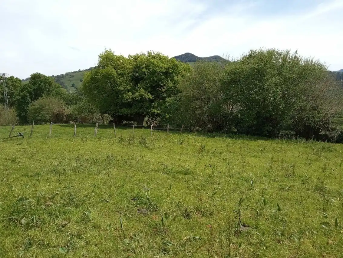 Maison avec jardin à vendre à Rasines, imagen 6