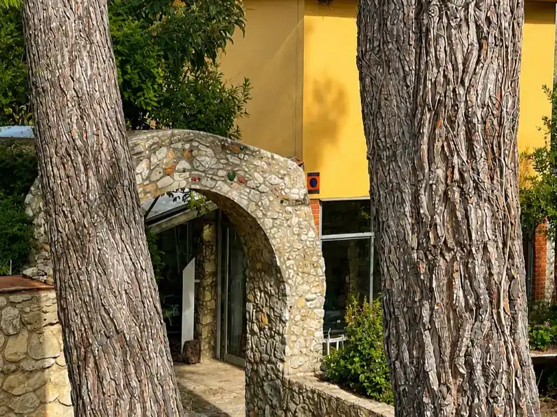 Vista exterior de Pis en venda en Olesa de Bonesvalls