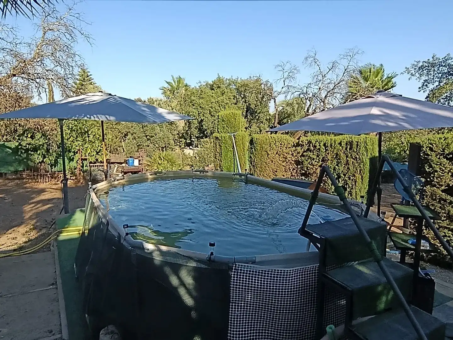 Casa con piscina in vendita a Castilblanco de los Arroyos, imagen 64