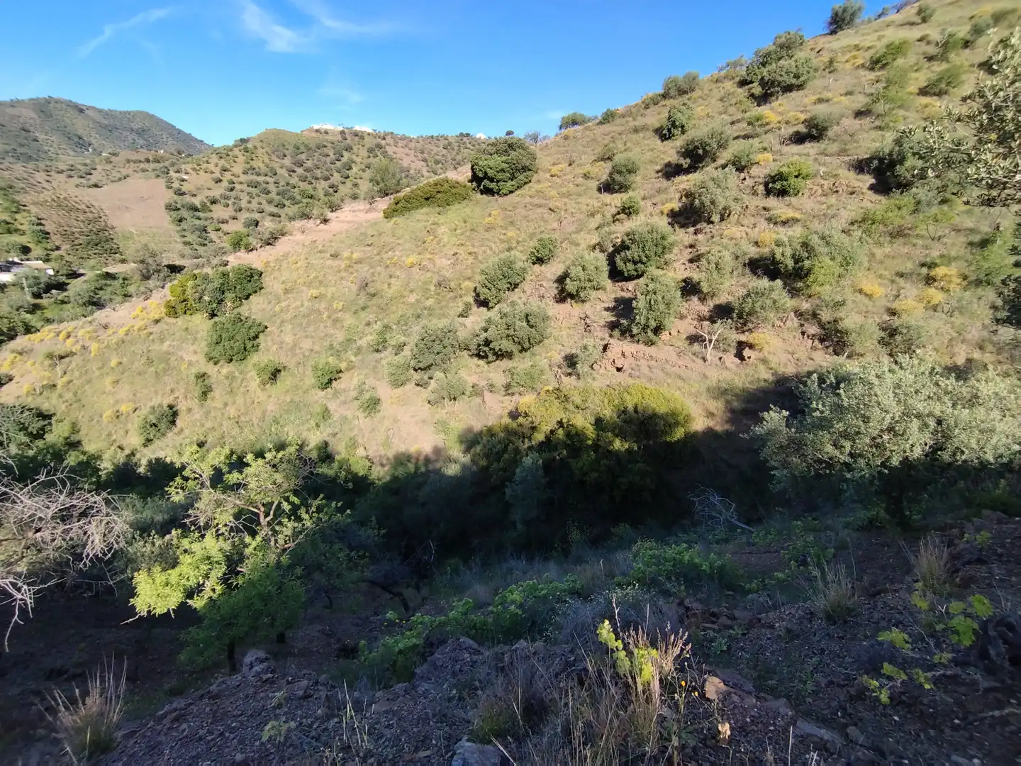 Lands and plots for sale in Arenas, imagen 2