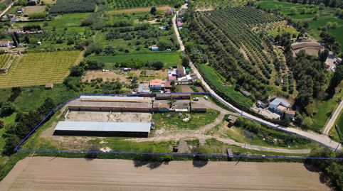 Foto 3 von Fabrikhallen zum Verkauf in Arbeca, Lleida
