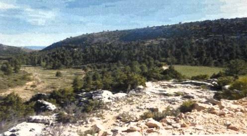 Terreno en Venta en Casco Histórico