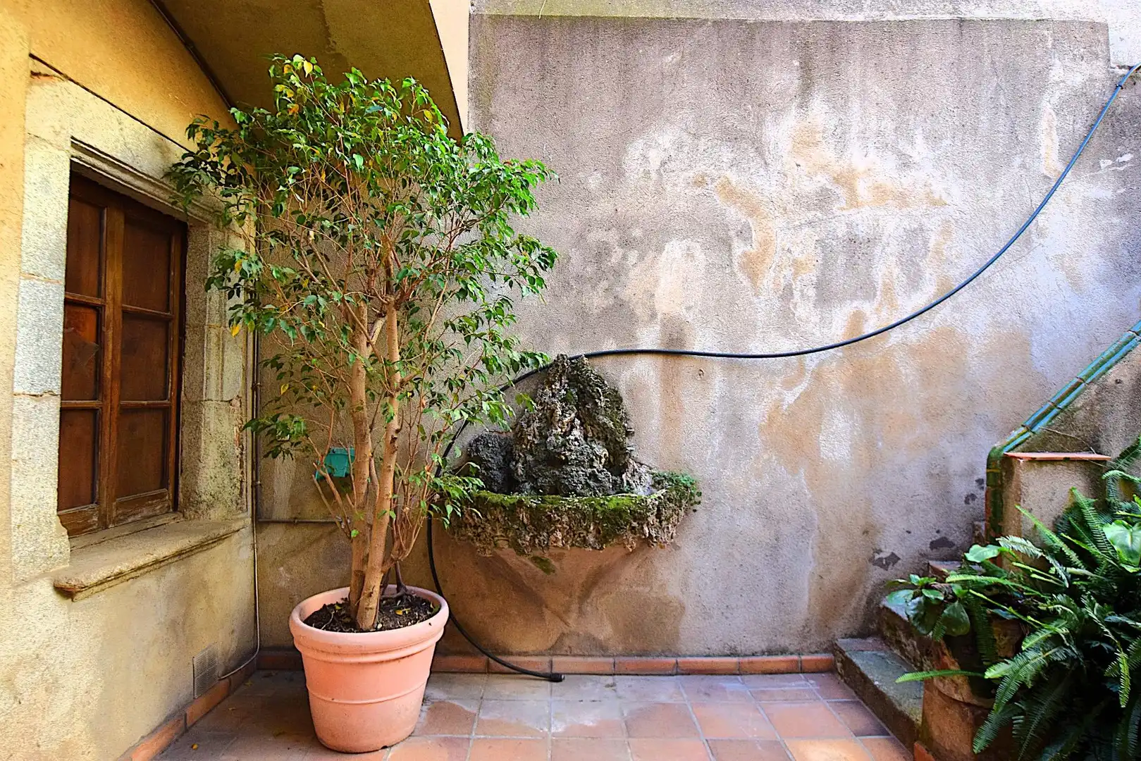Garden of Houses for sale in Mataró  with Private garden, Terrace and Storage room