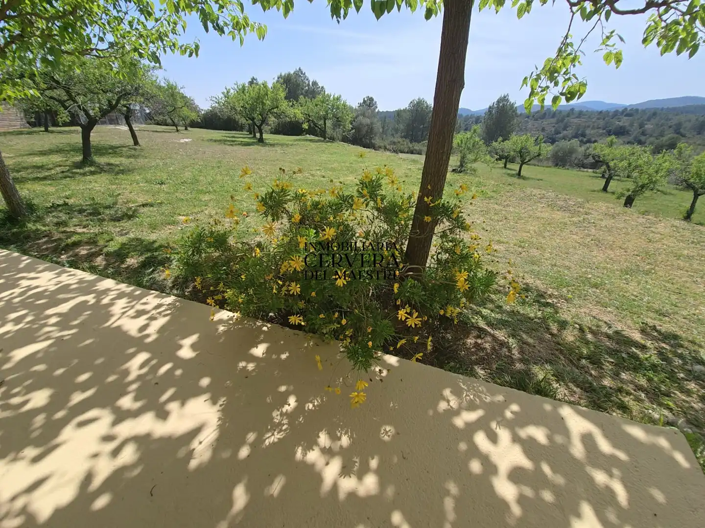 Finca rústica en venda en Cervera del Maestre