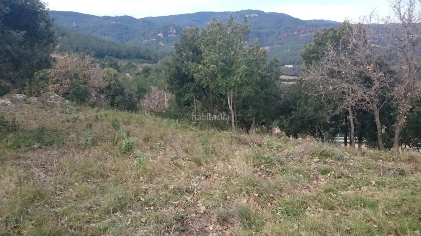Terreny residencial en venda a Carrer dels Cirerers 80, imagen 3
