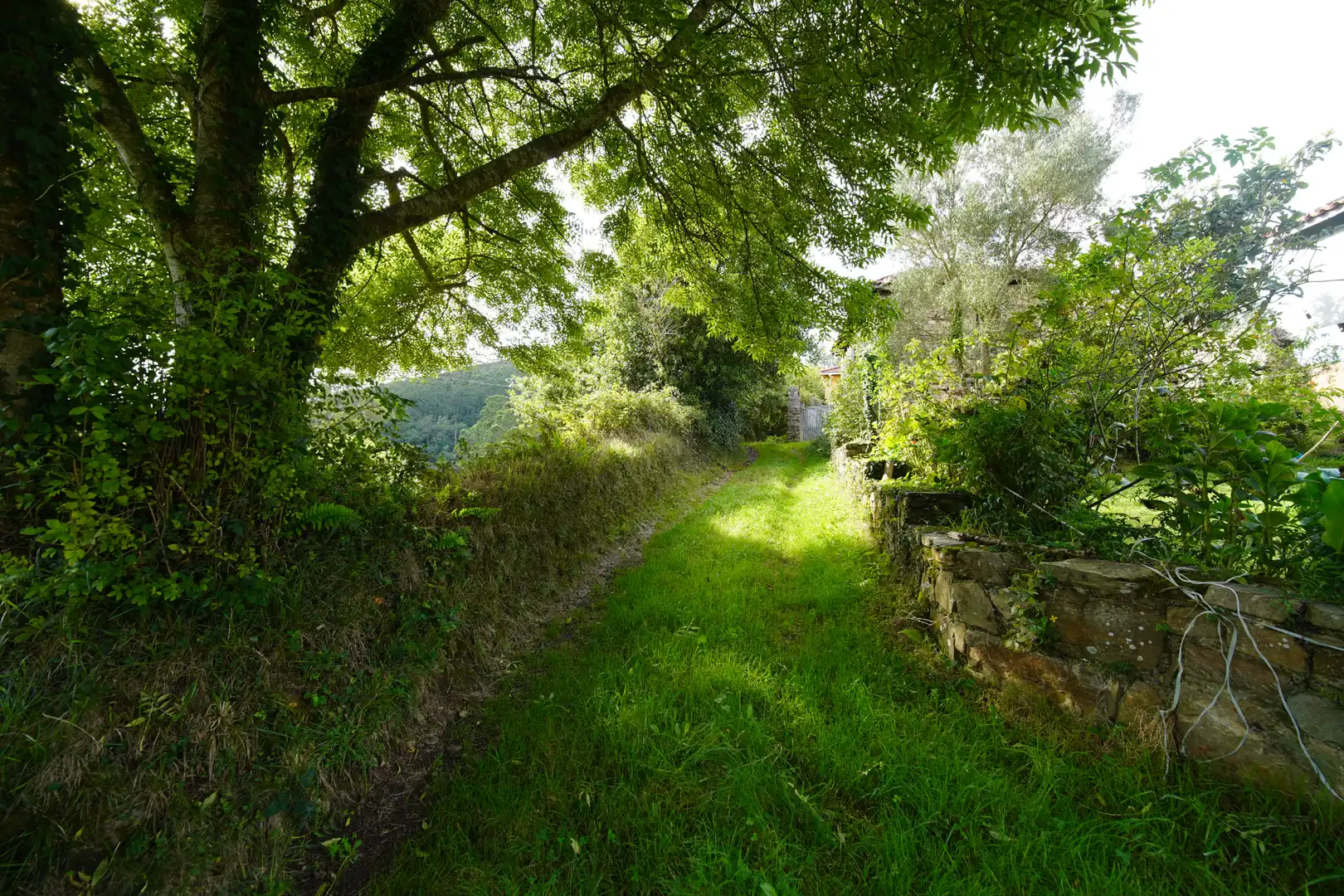 Wohnbaugrundstück zum Verkauf in Cudillero, imagen 8