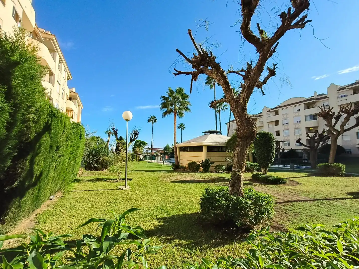 Vista exterior de Piso en venta en El Pinillo 