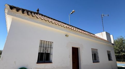 Photo 5 of Country homes for sale in Pedanías Norte, Utrera
