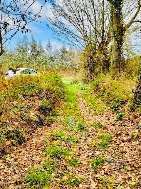 Casa o chalet en venta en O Corgo  