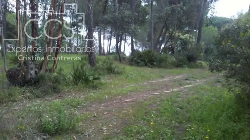 Casa rústica en venda a Almonte ciudad, imagen 17