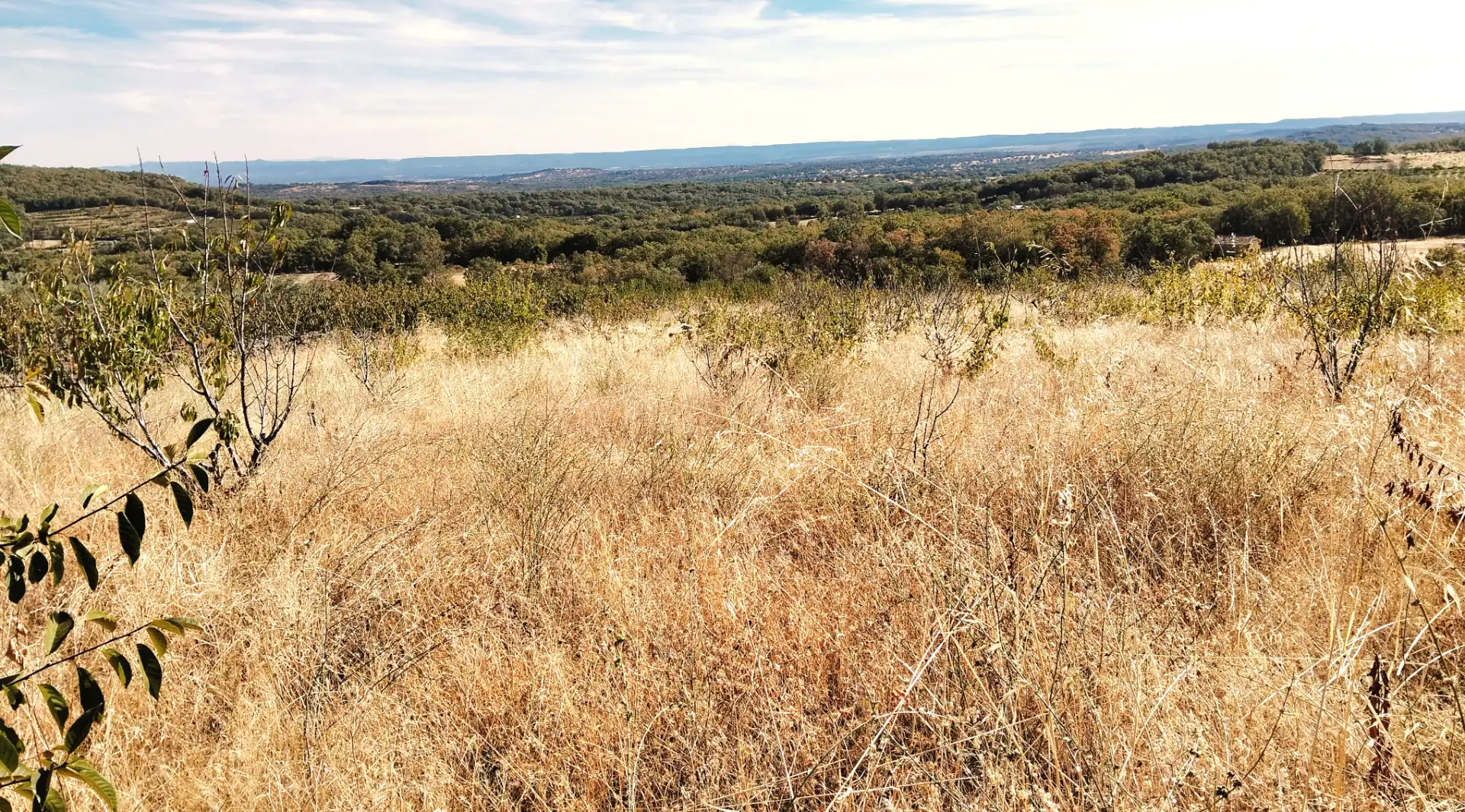 Terrain rustique à vendre à Avenida Extremadura 72, imagen 5