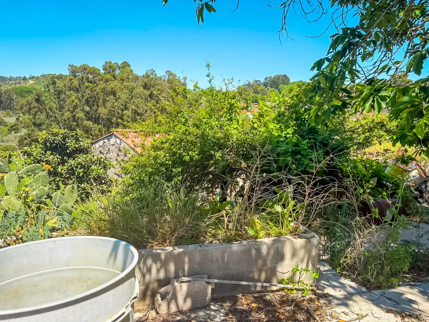 Jardín de Casa o chalet en venta en Valleseco