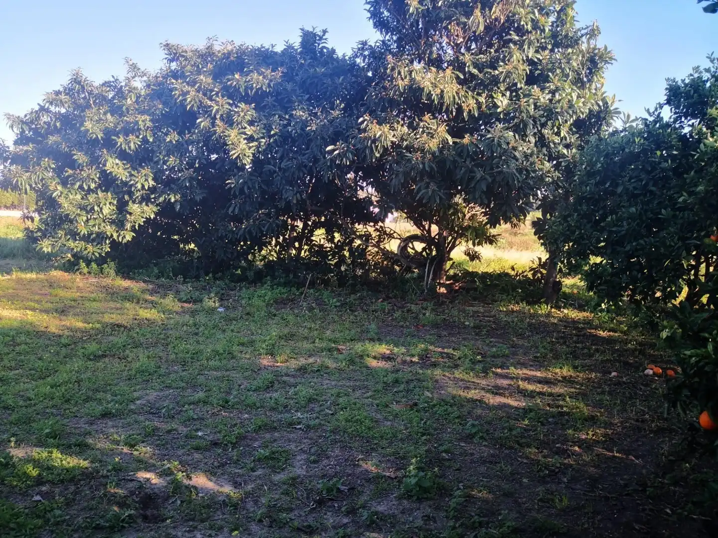 Terreno rustico in vendita a Barbate ciudad, imagen 10